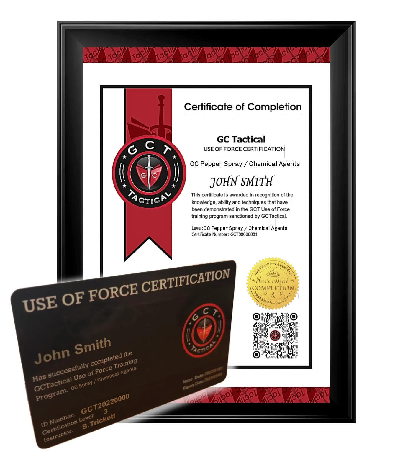 Use of Force Training and Certificate OC Pepper Spray Training